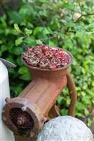 ausgefallene Gartendekoration